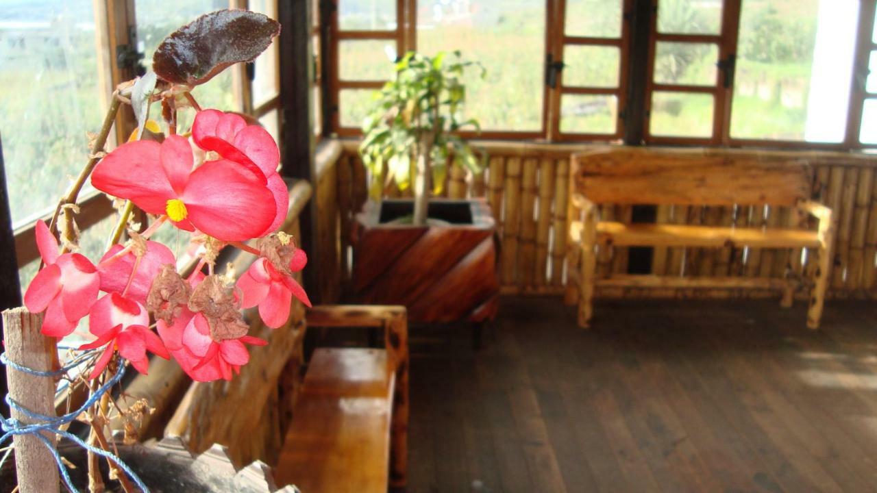 Country house El Descanso “the Rest”